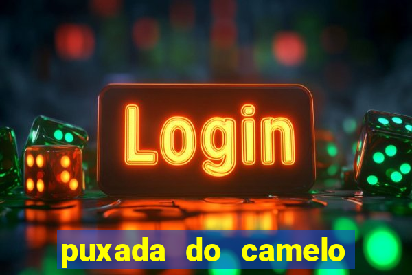 puxada do camelo jogo do bicho